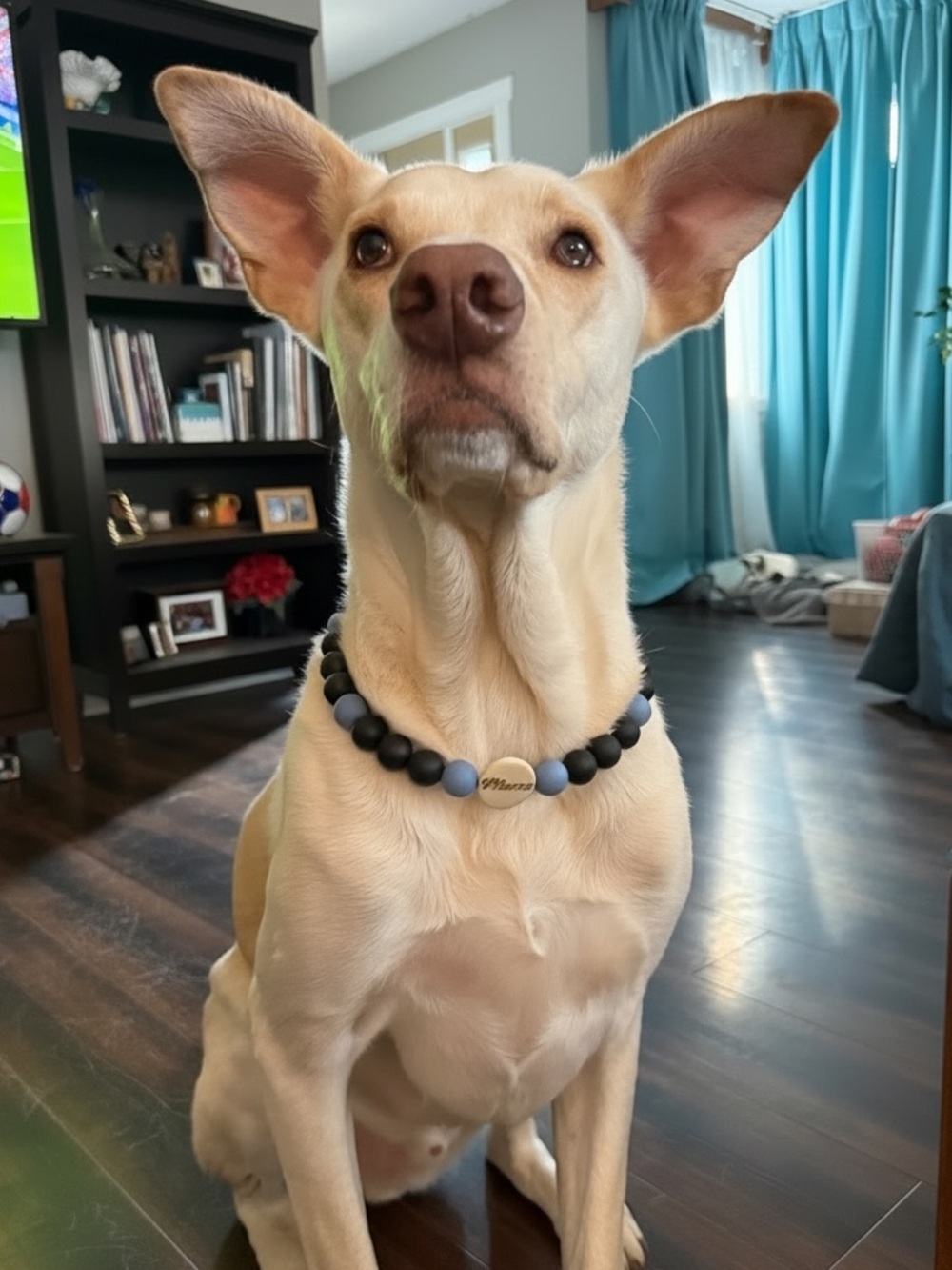 Personalized Pet Bead Necklaces
